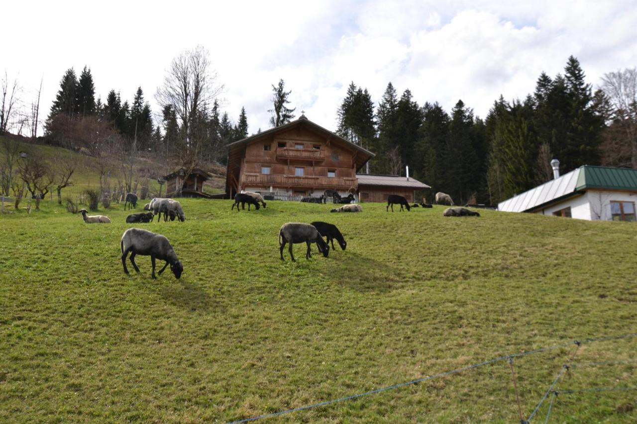 Brandhof Appartement Reith Buitenkant foto